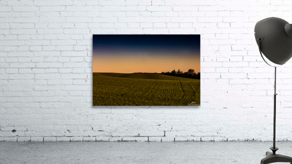 St Agatha 2 Wall Preview