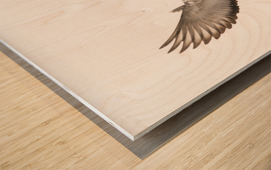 Take Flight Wood print