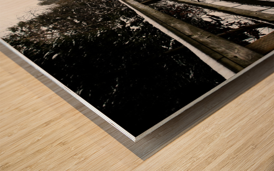 The Boardwalk Wood print