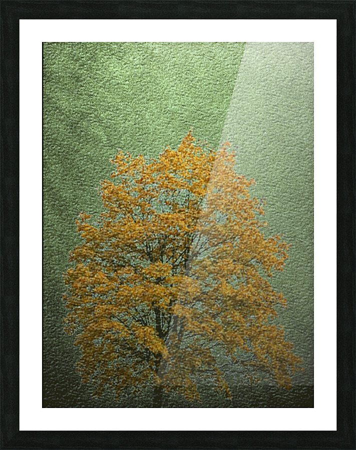 BAC2 Picture Frame print