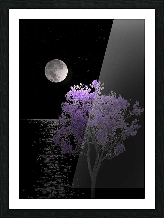 91b Picture Frame print