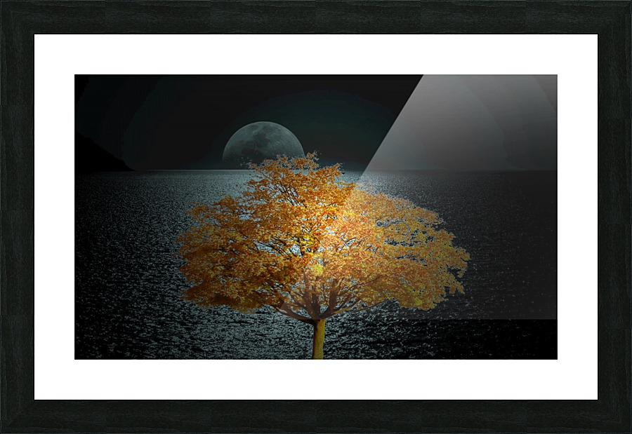 hhhh Picture Frame print