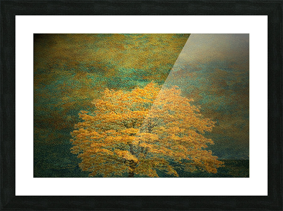 Yellow cherry tree Picture Frame print
