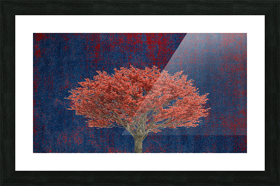 bac23 Picture Frame print