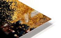 GOLD1 HD Metal print