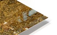 pitorem2 HD Metal print