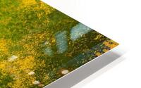 BA100 HD Metal print