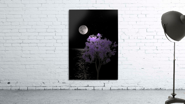 91b Wall Preview