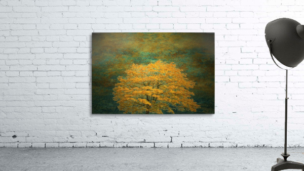 Yellow cherry tree Wall Preview