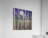 wintertreesjune2023 Acrylic Print