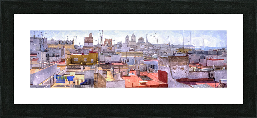 From my rooftop Picture Frame print