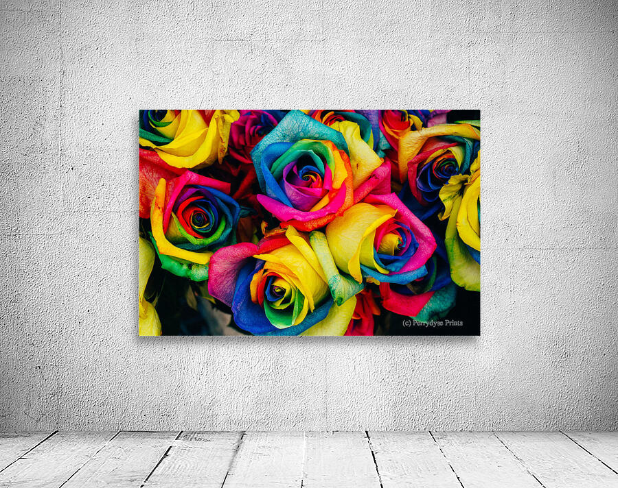 More Rainbow Roses Wall Preview