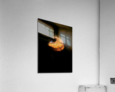 mushroomz Acrylic Print