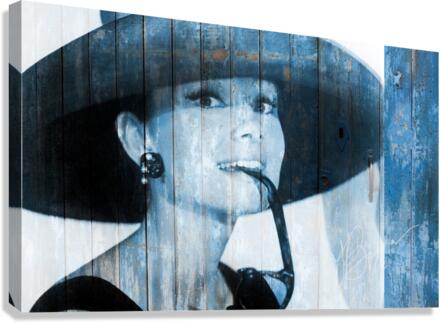 AUDREY2 Canvas Print