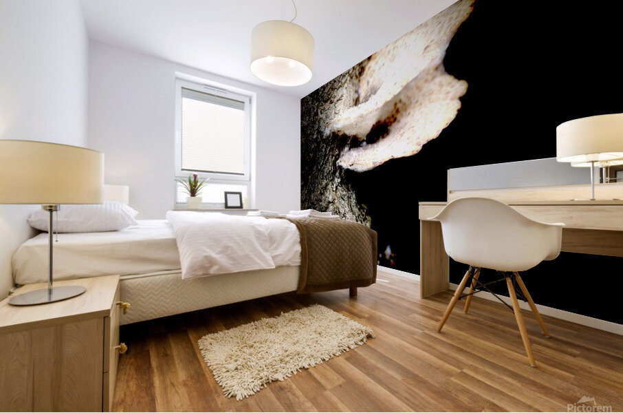 mushroom  Mural print