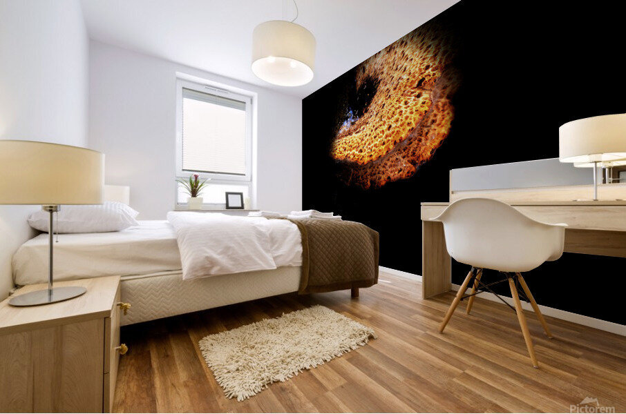 mushroomz Mural print