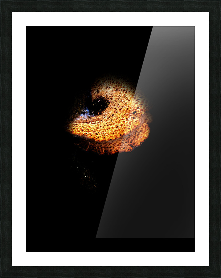 mushroomz Picture Frame print