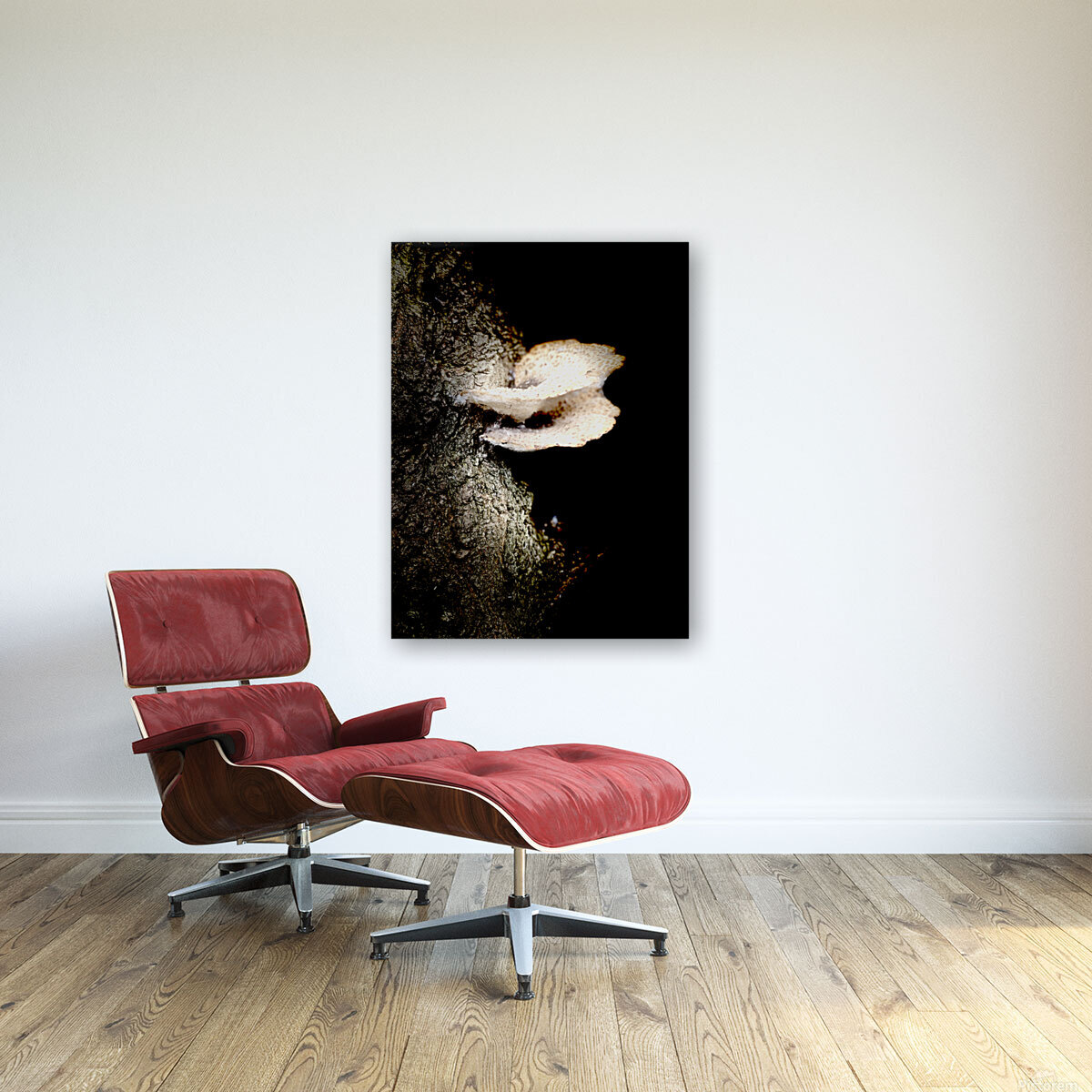 mushroom  Reproduction