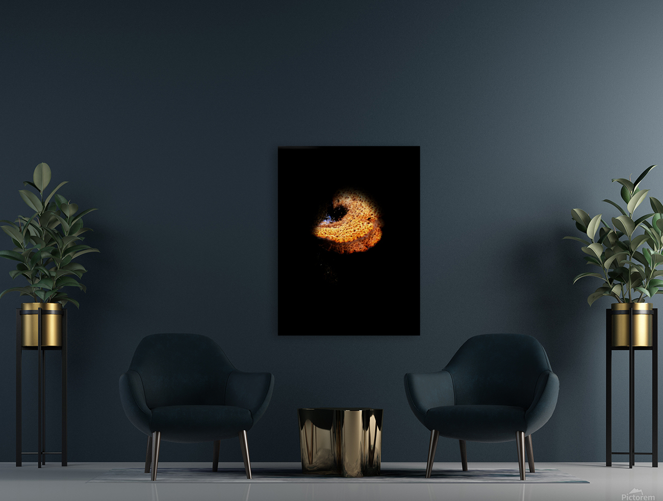 mushroomz Reproduction