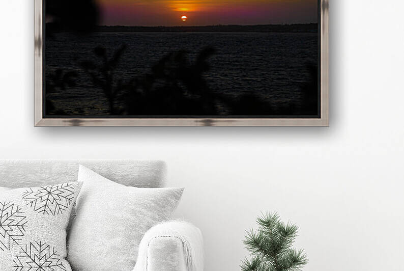 Palm Tree Sunset by Make Adventure Possible