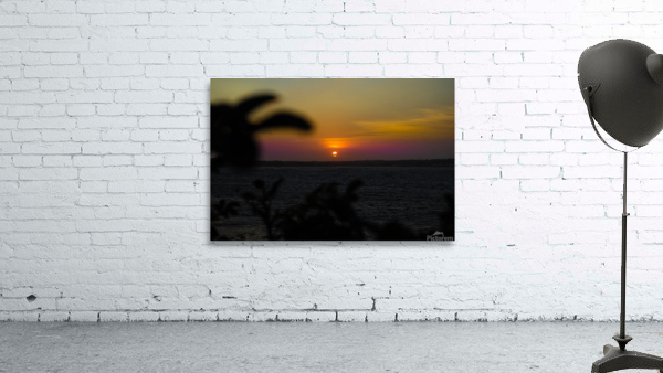 Palm Tree Sunset Wall Preview