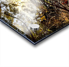 Peshawbestown 02  Acrylic print