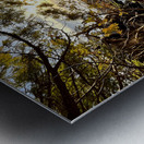 Peshawbestown 02  Metal print