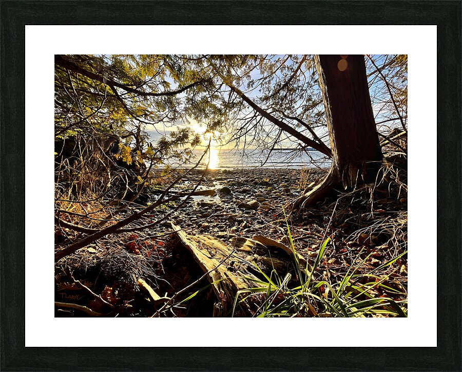 Peshawbestown 02  Picture Frame print