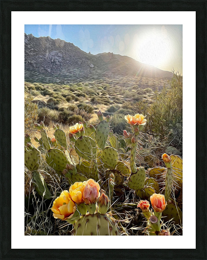 Evening Bliss Picture Frame print
