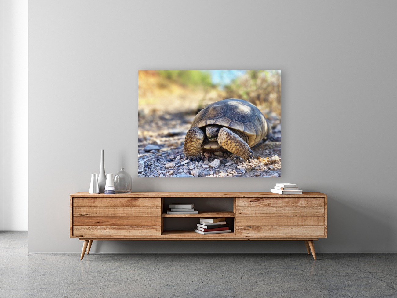 Tortoise 1 Reproduction