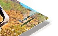 Taliesin Treasure HD Metal print