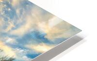 Monsoon Magic HD Metal print