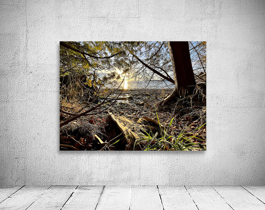 Peshawbestown 02  Wall Preview