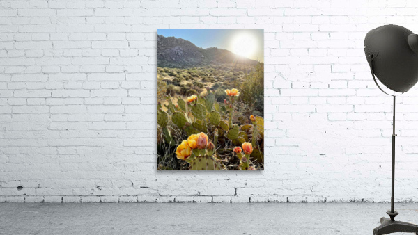 Evening Bliss Wall Preview