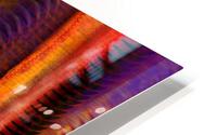  Arteries HD Metal print