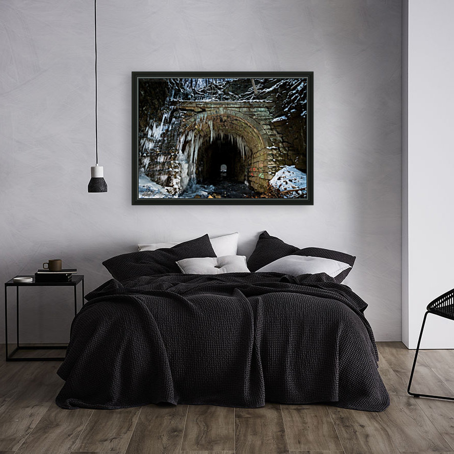 Winter Tunnel Reproduction