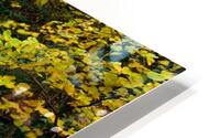 Coburn Tunnel HD Metal print