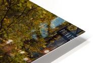 Autumn Forest HD Metal print