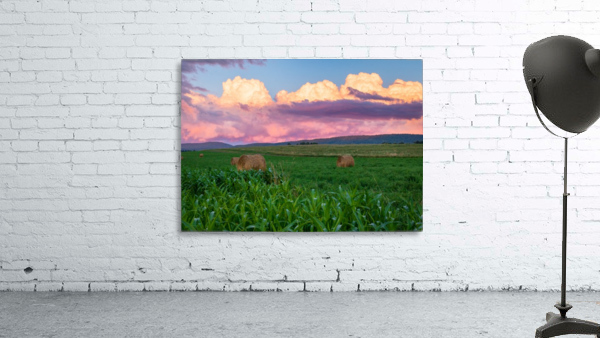 Penns Valley Sunset Wall Preview