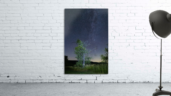 North Star Tree Wall Preview