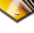 Seagull Sunrise Acrylic print