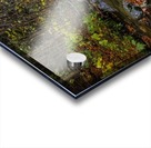 A Bigger Fall Strem Acrylic print