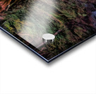 Is there anybody in there Acrylic print