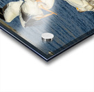 Dominant Pelican Acrylic print