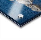 Tahoe Kayak Acrylic print