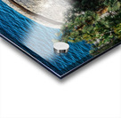 Scarab Rock Acrylic print