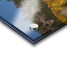 Hope Valley Aspens Acrylic print