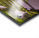 Dock in Decay 2 Acrylic print