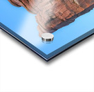 Arches Natl Park 2 Acrylic print