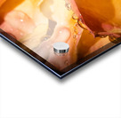 Rose Garden Portland Acrylic print